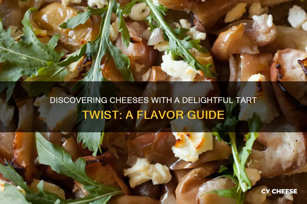 what cheese has a touch of tartness to it