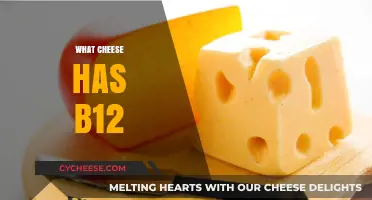 Cheese Varieties Rich in Vitamin B12: A Nutritional Guide