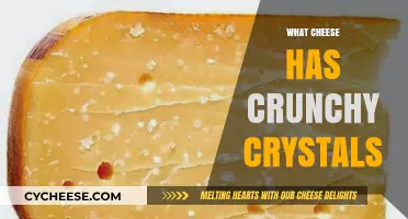 Crunchy Cheese Crystals: Exploring Aged Cheeses with a Textural Twist