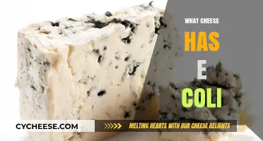 Cheese and E. Coli: Which Varieties Pose a Risk?