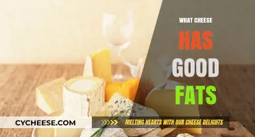 Healthy Cheese Choices: Discover Which Varieties Offer Beneficial Fats