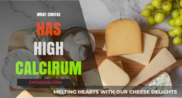 Top Calcium-Rich Cheeses for Stronger Bones and Healthier Diet