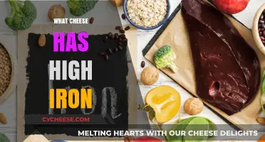 Iron-Rich Cheese Varieties: Boost Your Intake with These Delicious Options