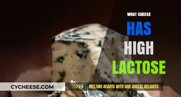 High Lactose Cheeses to Avoid: A Guide for Sensitive Stomachs