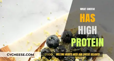 Top Protein-Rich Cheeses for Muscle Growth and Healthy Snacking