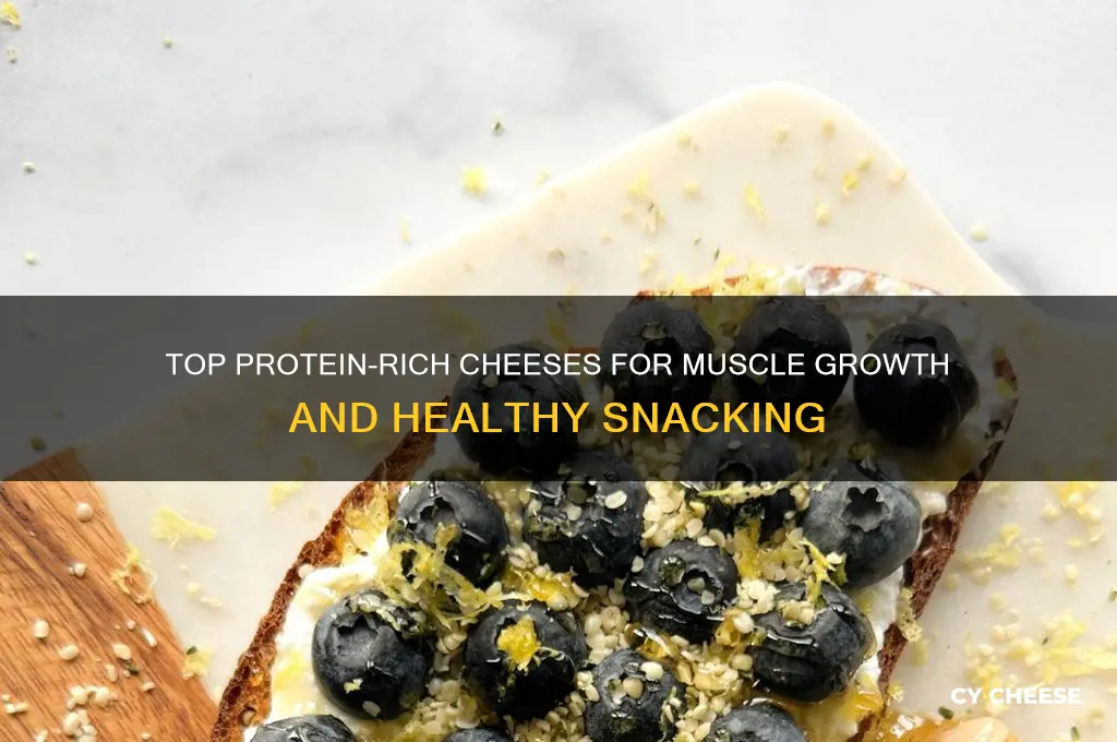 what cheese has high protein