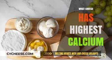 Top Calcium-Rich Cheeses: Boost Your Bone Health with These Picks