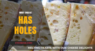 Exploring the Cheesy Mystery: Which Cheese Varieties Feature Iconic Holes?