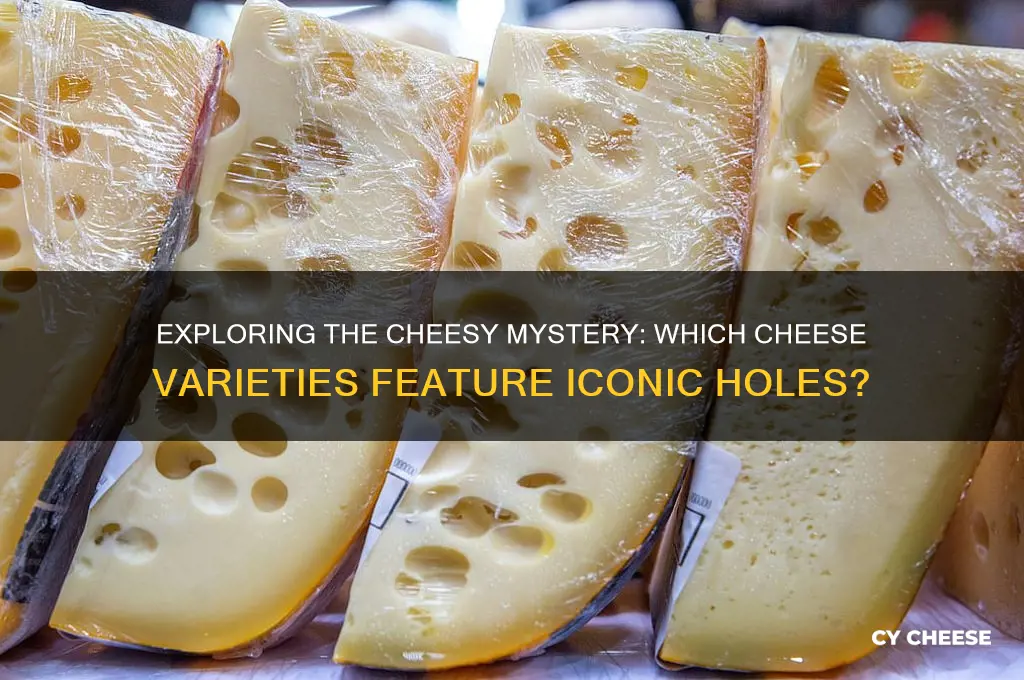 what cheese has holes