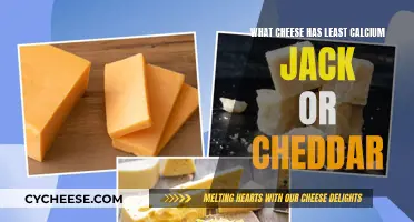 Low-Calcium Cheese: Exploring Alternatives to Jack and Cheddar