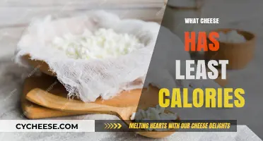 Cheese Lovers: Low-Calorie Cheese Options