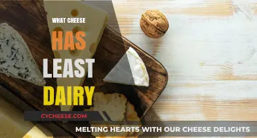 Low-Dairy Cheese Options: Discover the Least Dairy Varieties