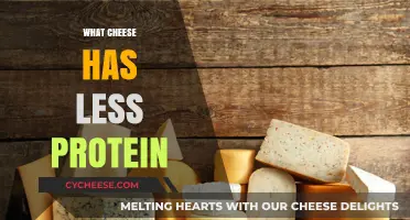 Low-Protein Cheese Options: Discover the Best Varieties for Your Diet