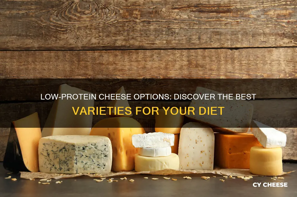 what cheese has less protein