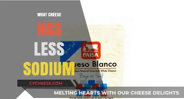 Low-Sodium Cheese Options: Healthier Choices for a Balanced Diet