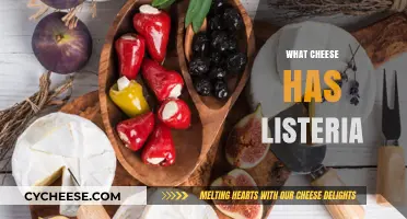 Listeria Risks: Which Cheeses Should You Avoid for Safety?