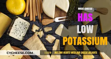 Low-Potassium Cheese Options: Healthy Choices for Kidney-Friendly Diets