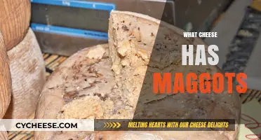 Maggot-Infested Cheese: Uncovering the Truth About Casu Marzu