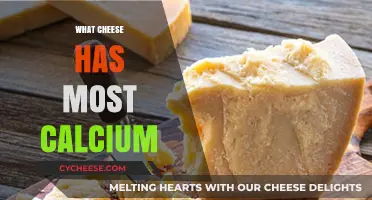 Top Calcium-Rich Cheeses: Boost Your Intake with These Dairy Delights