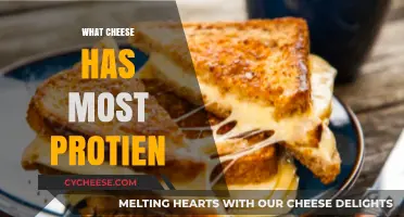 High-Protein Cheese Guide: Top Choices for Muscle-Building Snacks