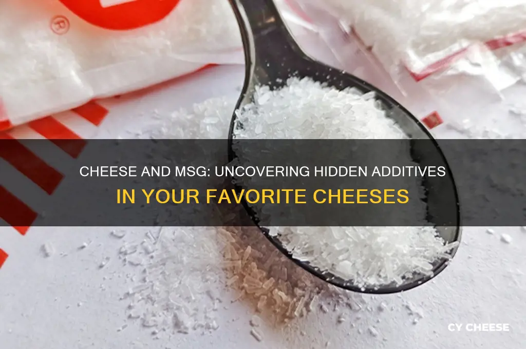 what cheese has msg