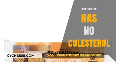 Cholesterol-Free Cheese Options: Healthy Choices for Your Diet