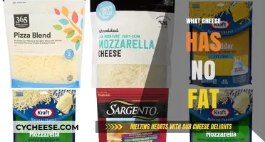 Discover Fat-Free Cheese Options for a Healthier Diet Today