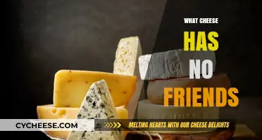 The Lonely Cheese: Exploring the Unpopular Varieties No One Chooses