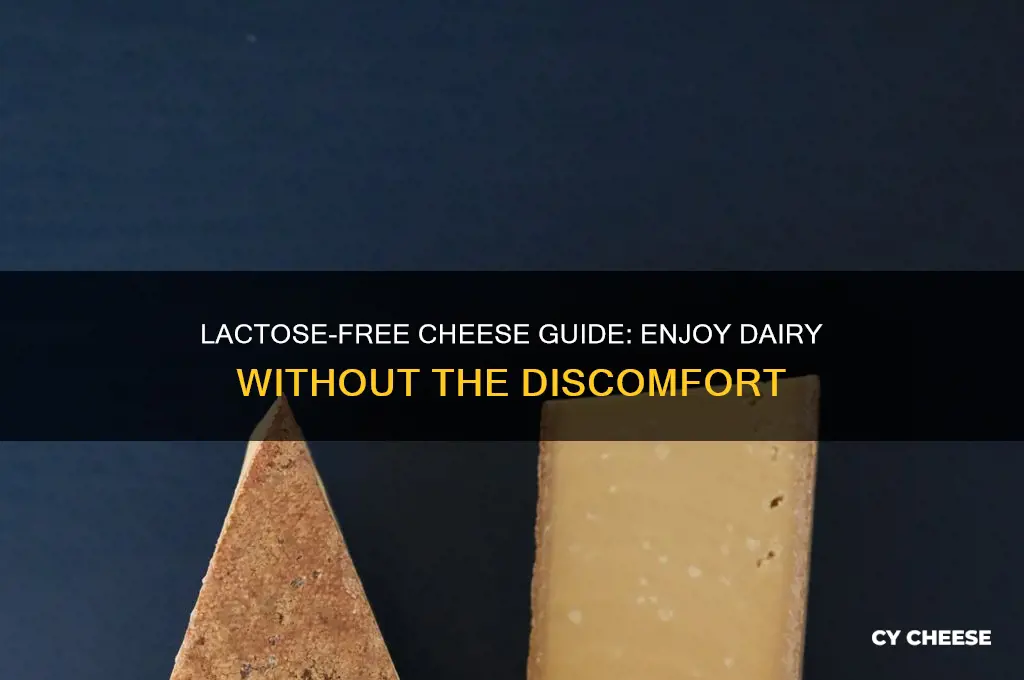 what cheese has no lactose
