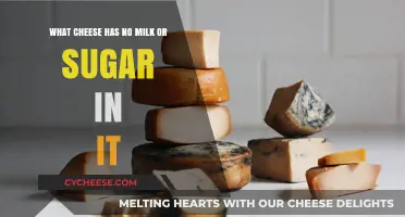 Dairy-Free Cheese Options: Discover Milk and Sugar-Free Varieties