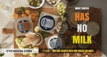 Exploring Dairy-Free Cheese: Which Varieties Contain No Milk?