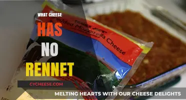 Discover Rennet-Free Cheese Options for Vegetarian and Vegan Diets