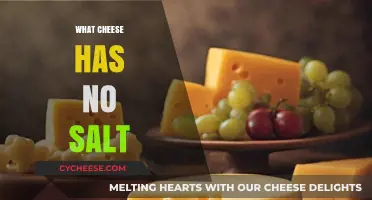 Unsalted Cheese Options: Discover Salt-Free Varieties for a Healthier Diet