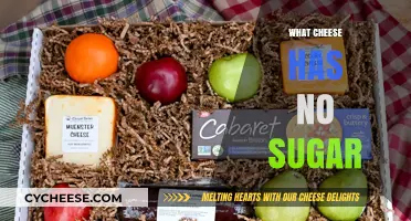 Sugar-Free Cheese Options: Discover Which Varieties Contain Zero Sugar