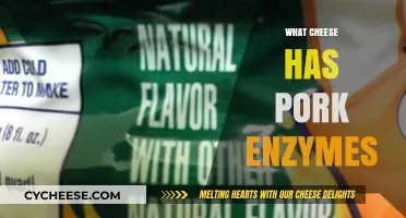 Cheese and Pork Enzymes: Uncovering Animal-Derived Rennet in Dairy