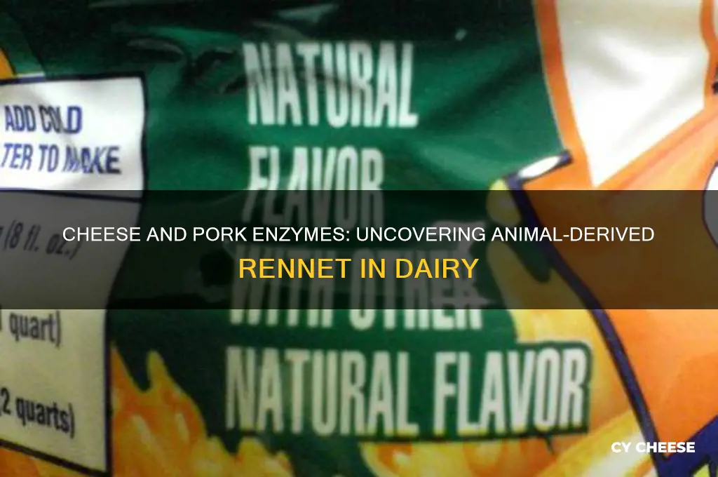 what cheese has pork enzymes