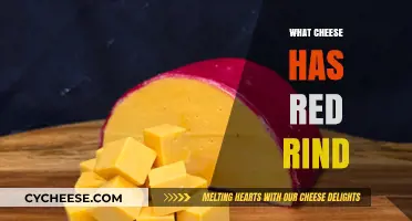 Red Rind Cheese Varieties: Exploring Unique Flavors and Origins