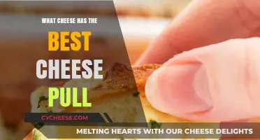 Cheese Pulls: Which Cheeses Melt the Best?