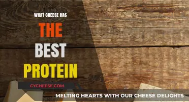 Best Protein-Rich Cheeses: A Comprehensive Guide