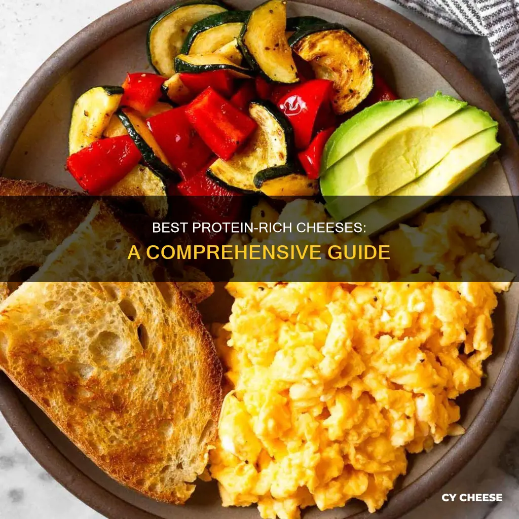 what cheese has the best protein