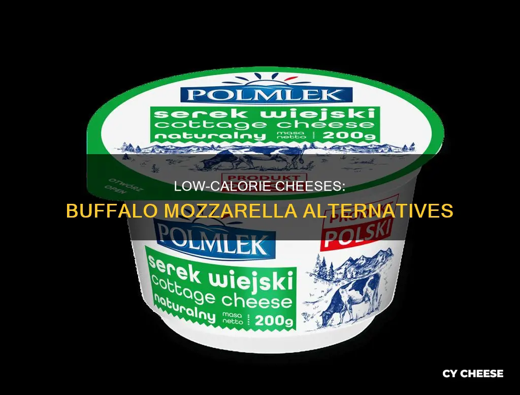 what cheese has the least amount of calories buffalo mozzarella