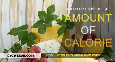 Cheese Lovers: Low-Calorie Cheese Options