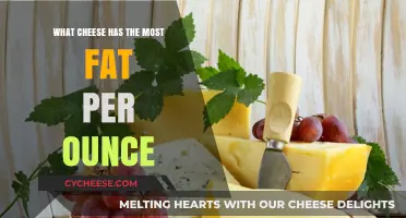 High-Fat Cheese Showdown: Which Variety Packs the Most Per Ounce?