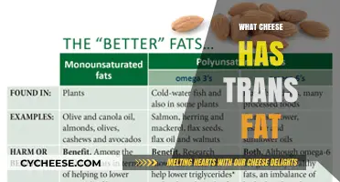 Cheese and Trans Fats: Uncovering Hidden Sources in Your Diet