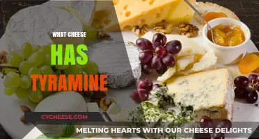 Tyramine-Rich Cheeses: Which Varieties to Avoid or Enjoy in Moderation