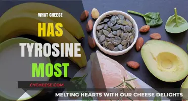 Top Tyrosine-Rich Cheeses: Uncover the Highest Protein Cheese Varieties