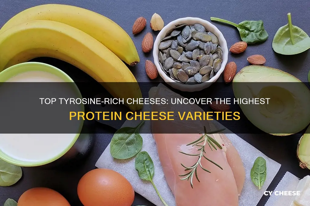 what cheese has tyrosine most