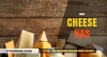 Exploring the Ingredients and Nutritional Value of Different Cheese Varieties