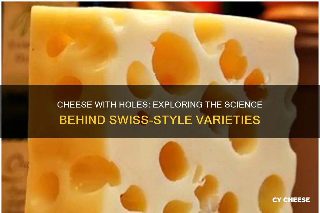 what cheese have holes