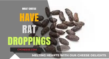 Uncovering the Truth: Cheese Contamination and Rat Droppings Explained